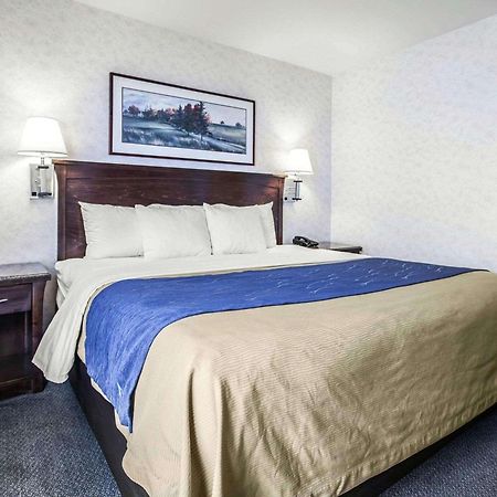 Comfort Inn Bellingham Exteriér fotografie
