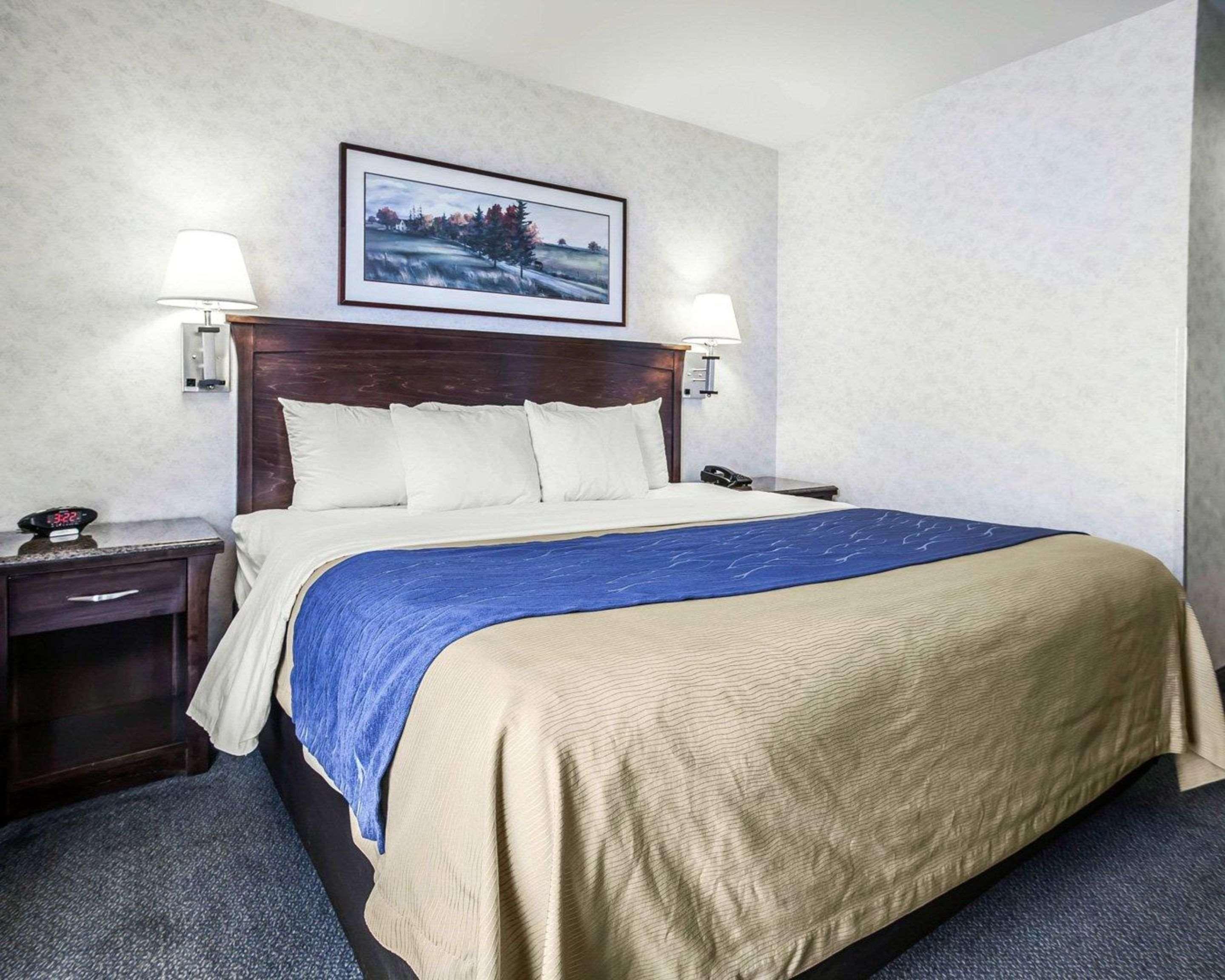 Comfort Inn Bellingham Exteriér fotografie