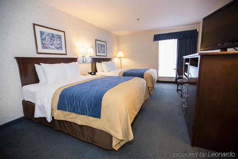 Comfort Inn Bellingham Exteriér fotografie