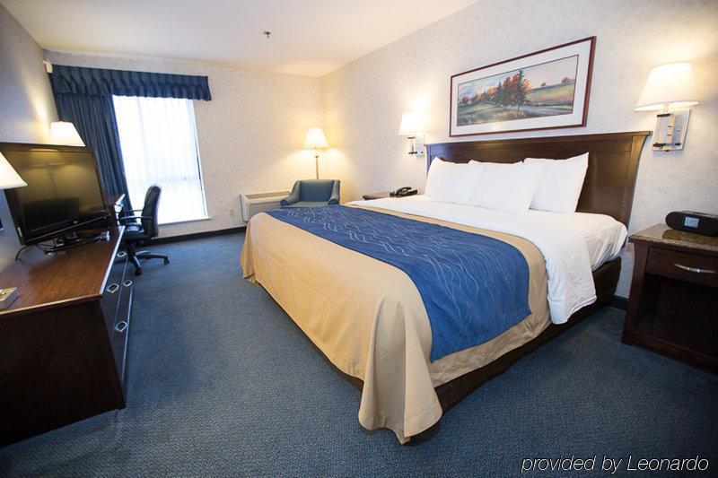 Comfort Inn Bellingham Exteriér fotografie